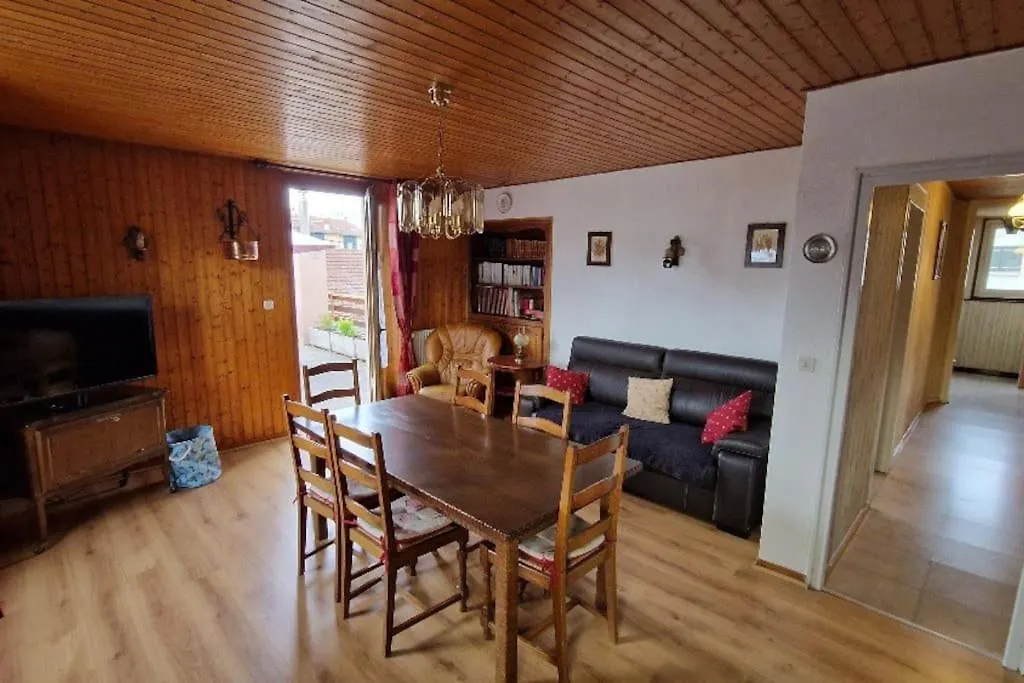 L'Amelia Apartment Thonon-les-Bains 0*,